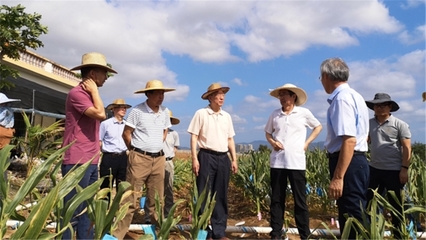 我校國(guó)家農(nóng)業(yè)科技戰(zhàn)略研究院赴海南開(kāi)展熱帶農(nóng)業(yè)科技創(chuàng)新調(diào)研，助力農(nóng)業(yè)科研發(fā)展新篇章